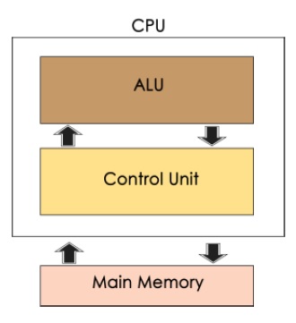 中央处理单元 (CPU)