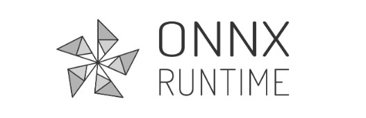 ONNX Runtime
